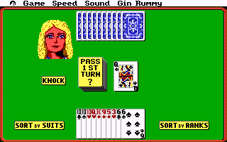 Hoyle Book of Games: Volume 1